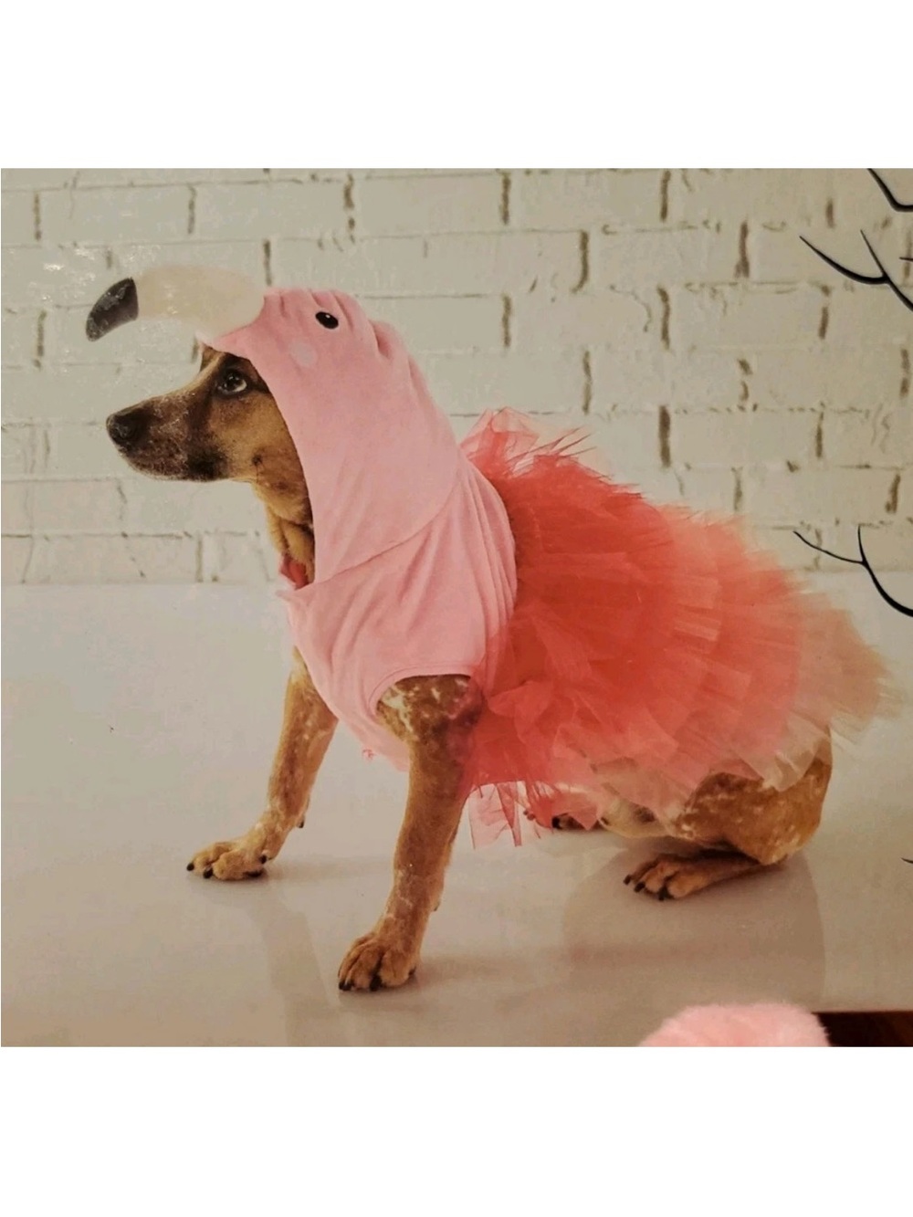 NEW Authentique Spooky Night Pet Apparel Pink Flamingo 🦩 Tutu Costume~Large